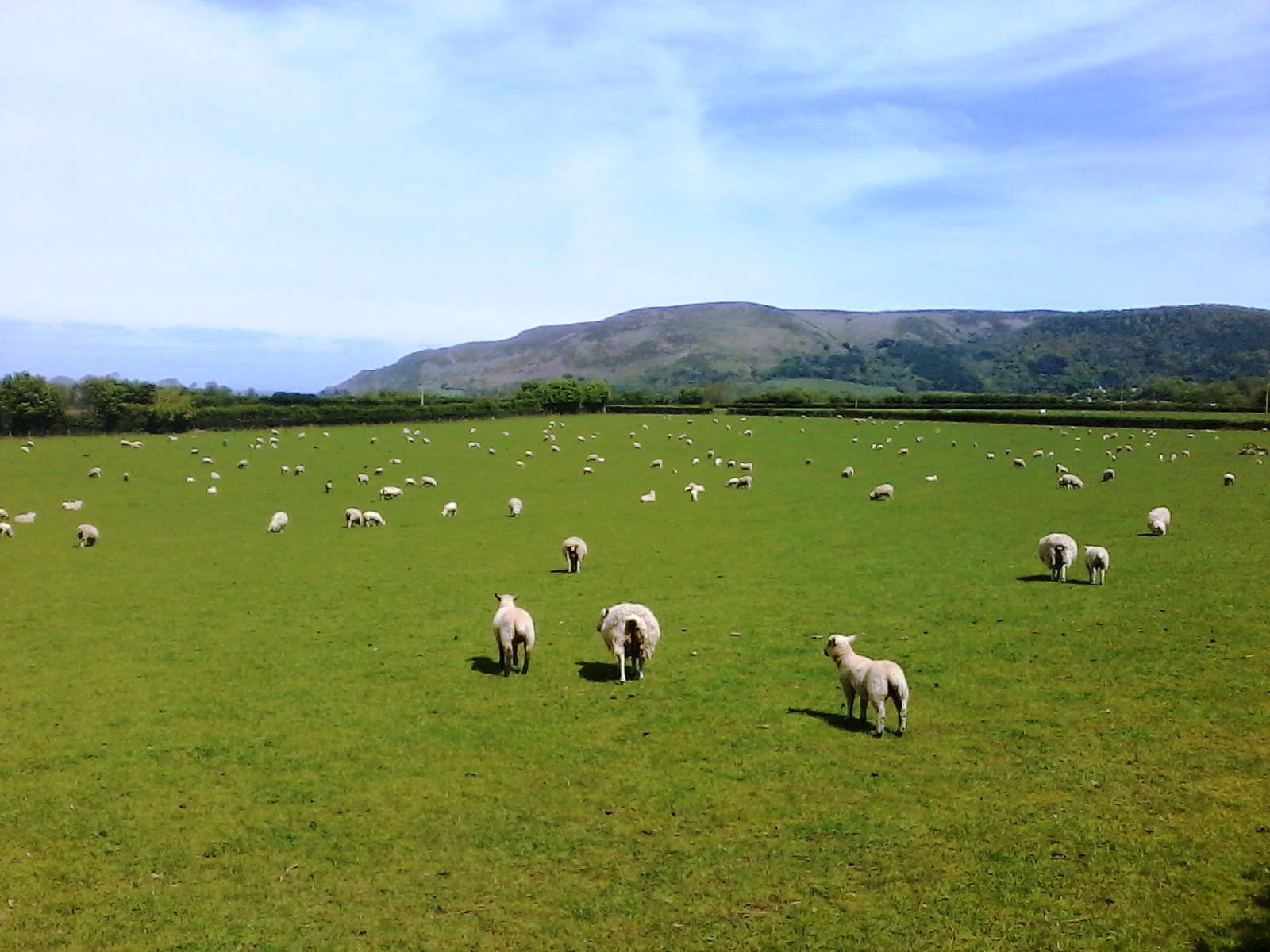 Exmoor National Park i okolice Minehead