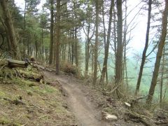 cwmcarn pedal houndz